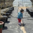 희영농장 이미지