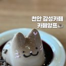 카페앙프 이미지