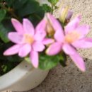 대주농장 이미지