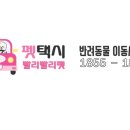 방이점 펫위드미 동물병원 # 빨리빨리펫 이용후기...