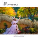 마로니에길 티스토리