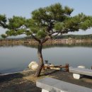 강릉부동산 강릉사랑공인중개사사무소 이미지