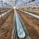 샤인하우스 가동 이미지