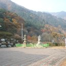 양양 서림사지 석조비로사나불 좌상 네이버블로그