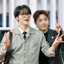 성화로 스타뉴스