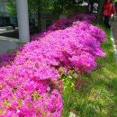 서울 대학교 트래킹 이미지