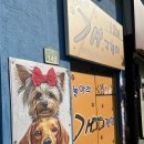 기장애견 | 놀아라 개구쟁이 기장 애견카페 솔직 후기