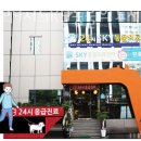 SKY동물병원 | 강동구 성내동 동물병원 강동24시SKY동물의료센터 위치 오는길 후기