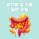 보라카이짐 선부점 이미지