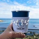 까페 코랄라니 | 송정 오션뷰 카페 코랄라니 내돈내산 후기 반려견과 함께한 힐링 타임