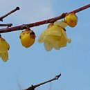 성요셉요양병원 이미지