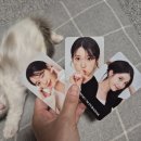[치킨] 푸라닭 신메뉴 치즈인이유 내돈내산 솔직후기