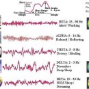 ﻿brain waves 뇌파 종류와 특성, 명상과 최면술 이미지