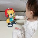 오 마이 캣 이미지