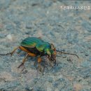 파트너스공인중개사사무소 이미지