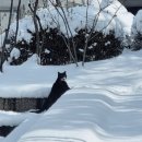 태기산농원 | 2025년 상반기 정리;일상,거제도,속초,권금성,반야사,발왕산 케이블카등등