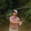 리코(rico) 이미지