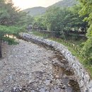 용현자연휴양림 이미지