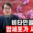 암세포만 싹 제거하는 비타민 발견?? 세계적인 암 권위자 배석철 교수님. 암 환자의 수명을 늘린 비타민의 놀라운 효과(비타민, 메가도스 이미지