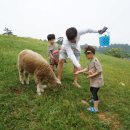 천해목장 이미지