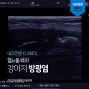 채플린동물병원 이미지