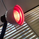 부부제세한의원 이미지