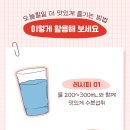 오렌지빠 이미지