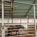 송산목장 이미지