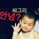 고고씽 Daum카페