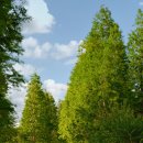 공주하숙마을1 이미지