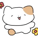 요가초급반 이미지