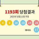 1193 이미지
