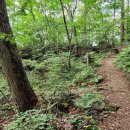 지경- 금오동천- ▲성안- 대혜폭포- 금오저수지- 구미역 3 이미지