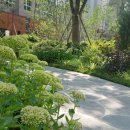 개포루체하임공인중개사사무소 이미지