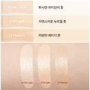 11620-19-21-3 | 다이소 줌 바이 정샘물 듀이핏 스파츌라 파운데이션 19,21 색상비교 | 9시간 지속력 무보정 후기