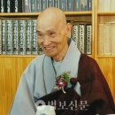 곡성-060 | 그리운 生佛 청화비구승