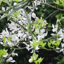 탱자한의원 이미지