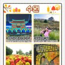 효영농장 이미지