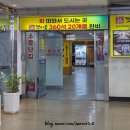 한수사 | 강서수산시장 봄 제철 알쭈꾸미 샤브샤브 후기 흥한수산 시세 (ft.청해수산 도다리회)