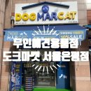 도그마캣서울 - 도봉구 도당로 36 | 도그마캣서울