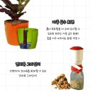 (주)퍼플오션 이미지