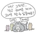 해달그린