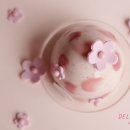 딜라이티에베이킹스튜디오