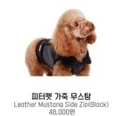 피터펫