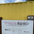 펫마마스푸드 이미지