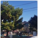 제8호 어린이공원 이미지