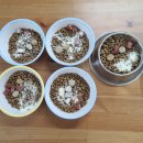 베리하우스 켄넬 이미지