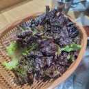 탐라밥상