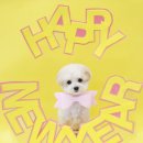 그루밍 까꿍 이미지