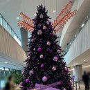 삼진밧데리 | 컬리푸드페스타 2025 오후 방문 후기 꿀팁과 추천 부스 기프트 정리